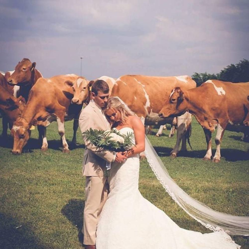 Meet your Posher, Karen